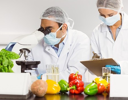 Quy định vệ sinh an toàn thực phẩm trong bếp ăn công nghiệp