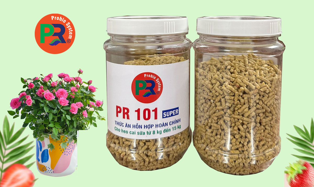 Thức ăn hỗn hợp hoàn chỉnh cho heo cai sữa từ 08 kg  đến 15 kg