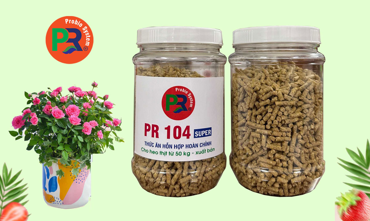 Thức ăn hỗn hợp cao cấp cho heo thịt từ 50 kg  đến xuất bán