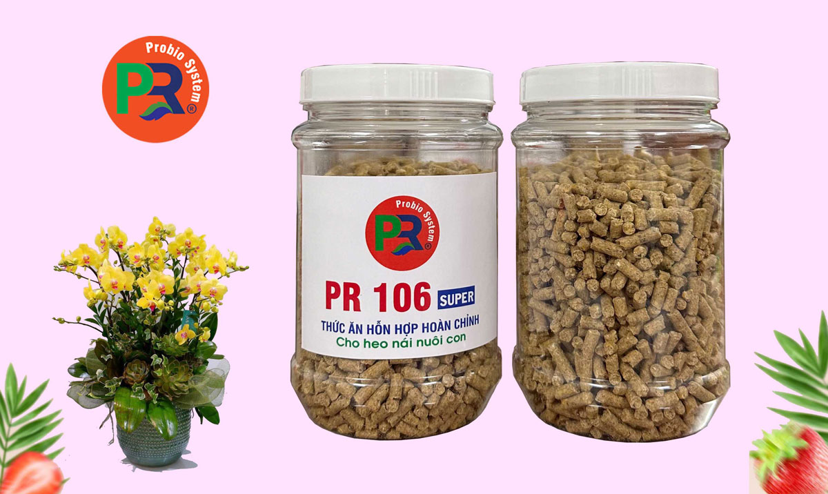 Thức ăn hỗn hợp cao cấp cho heo nái nuôi con