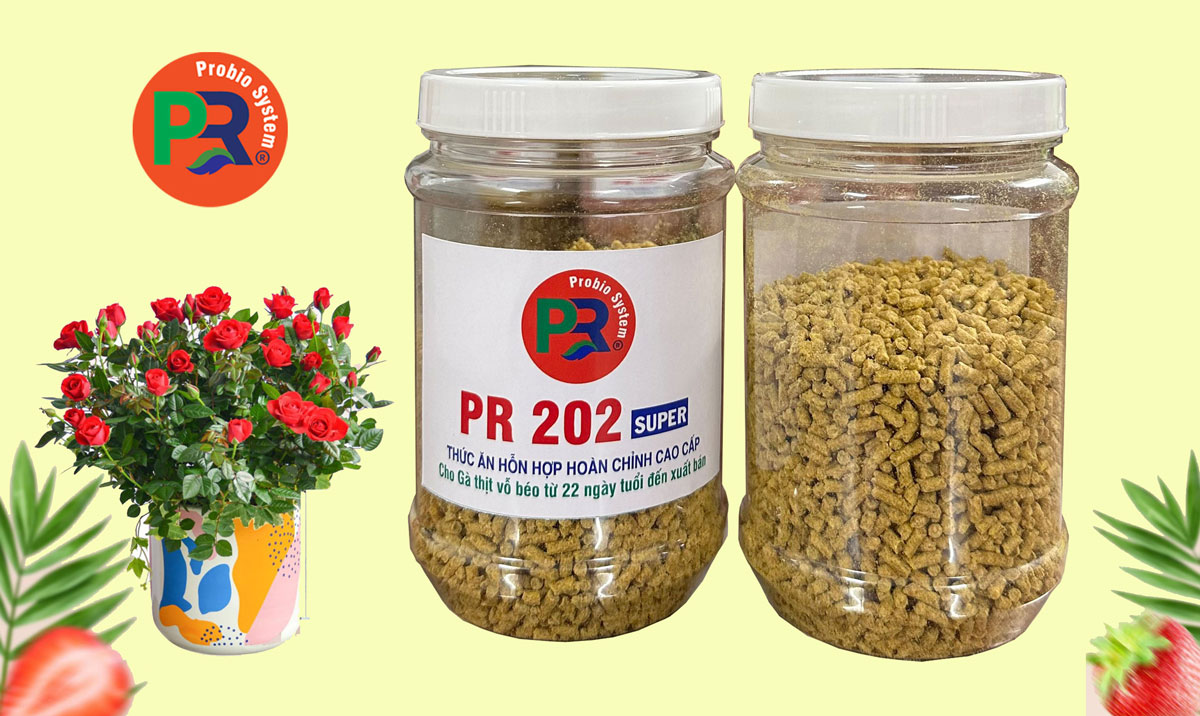 Thức ăn hỗn hợp hoàn chỉnh cho gà thịt vổ béo   từ 22 ngày tuổi đến xuất bán