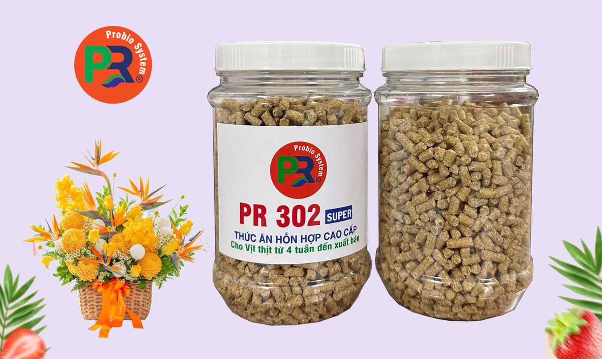 Thức ăn hỗn hợp cao cấp cho vịt thịt từ 4 tuần tuổi đến xuất bán