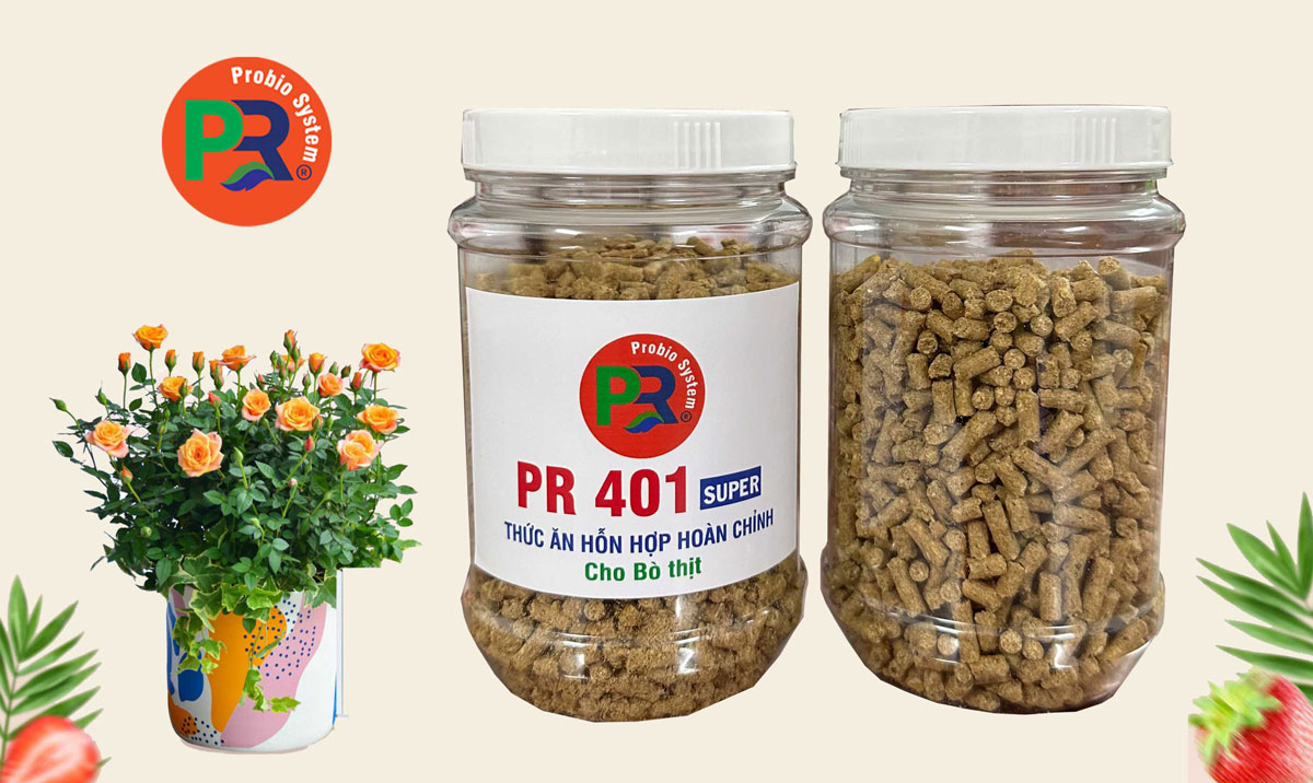 Thức ăn hỗn hợp hoàn chỉnh cho Bò thịt
