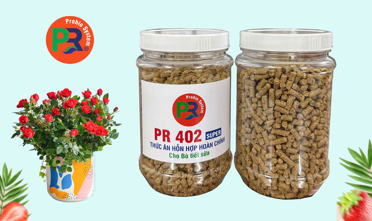 Thức ăn hỗn hợp hoàn chỉnh cho Bò tiết sữa